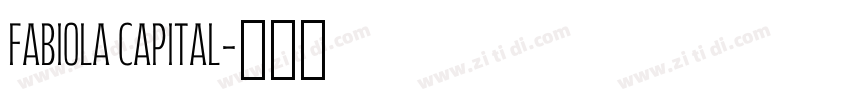 Fabiola Capital字体转换